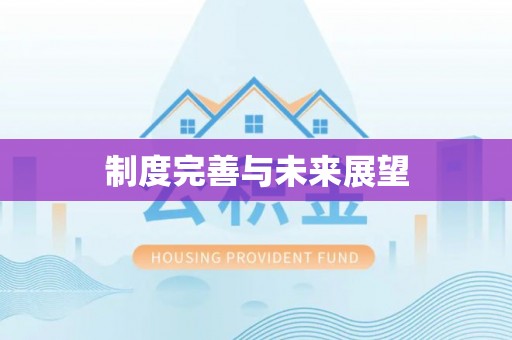 泾阳制度完善与未来展望
