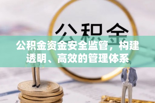泾阳公积金资金安全监管，构建透明、高效的管理体系