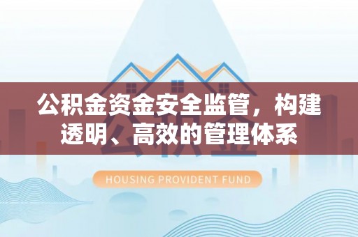 泾阳公积金资金安全监管，构建透明、高效的管理体系