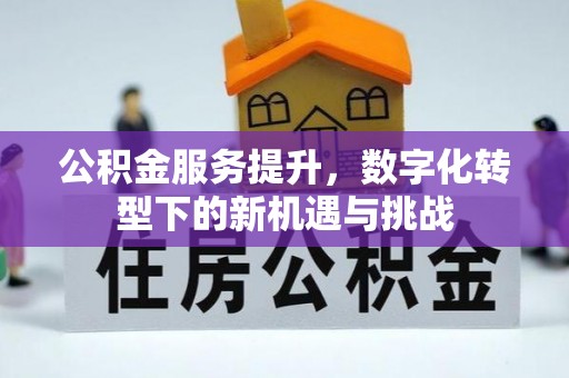 泾阳公积金服务提升，数字化转型下的新机遇与挑战