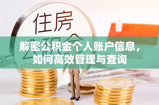 泾阳解密公积金个人账户信息，如何高效管理与查询
