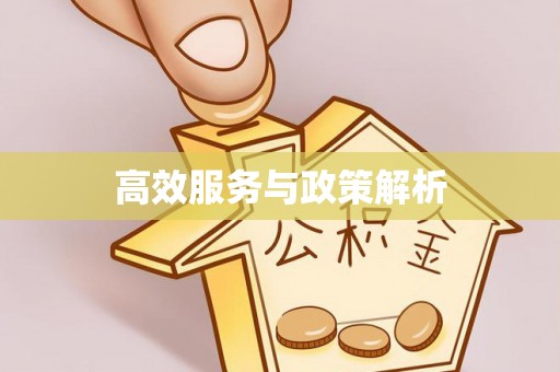 泾阳高效服务与政策解析