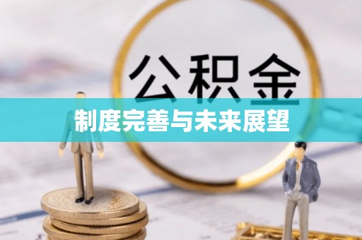泾阳制度完善与未来展望