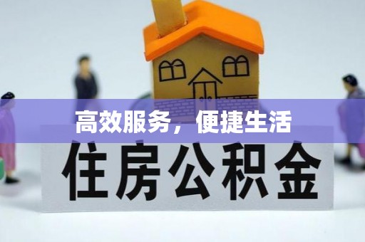 泾阳高效服务，便捷生活