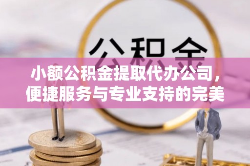 泾阳小额公积金提取代办公司，便捷服务与专业支持的完美结合