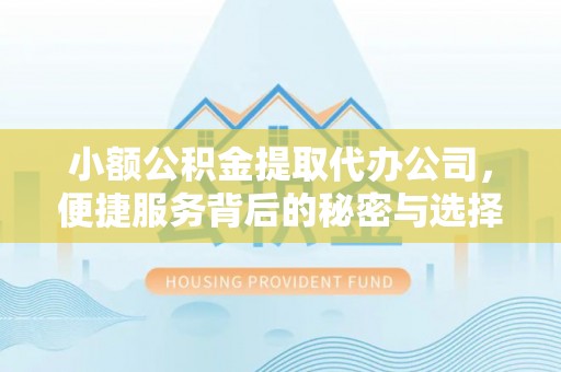 泾阳小额公积金提取代办公司，便捷服务背后的秘密与选择指南