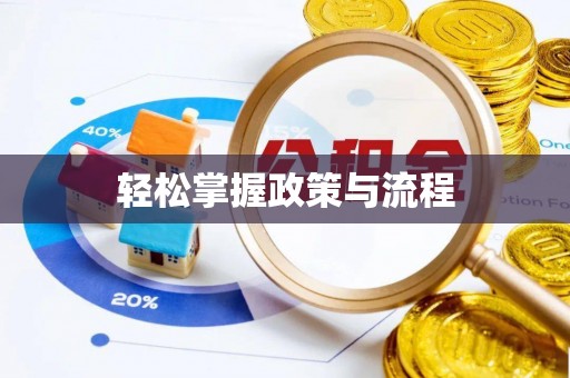 泾阳轻松掌握政策与流程