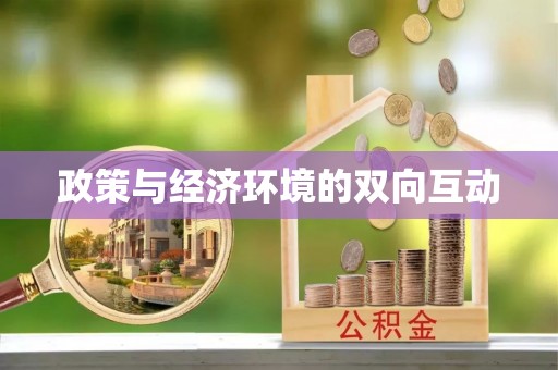 泾阳政策与经济环境的双向互动
