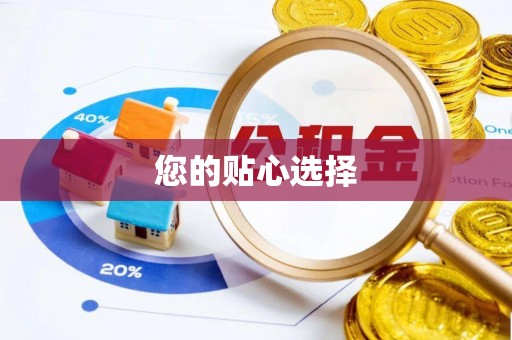 泾阳您的贴心选择