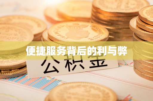 泾阳便捷服务背后的利与弊