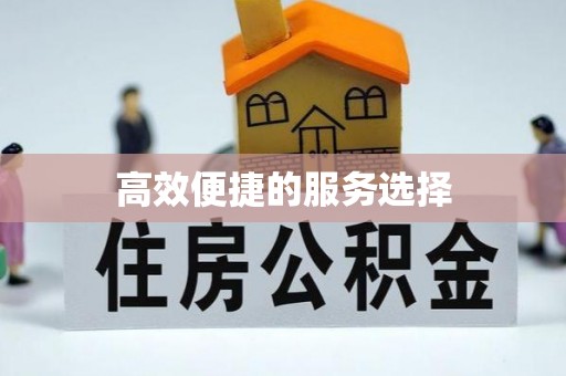 泾阳高效便捷的服务选择
