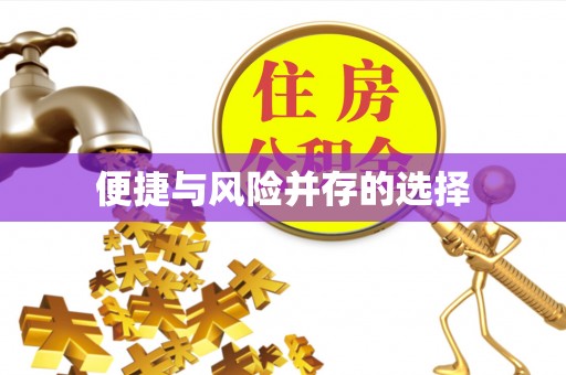 泾阳便捷与风险并存的选择